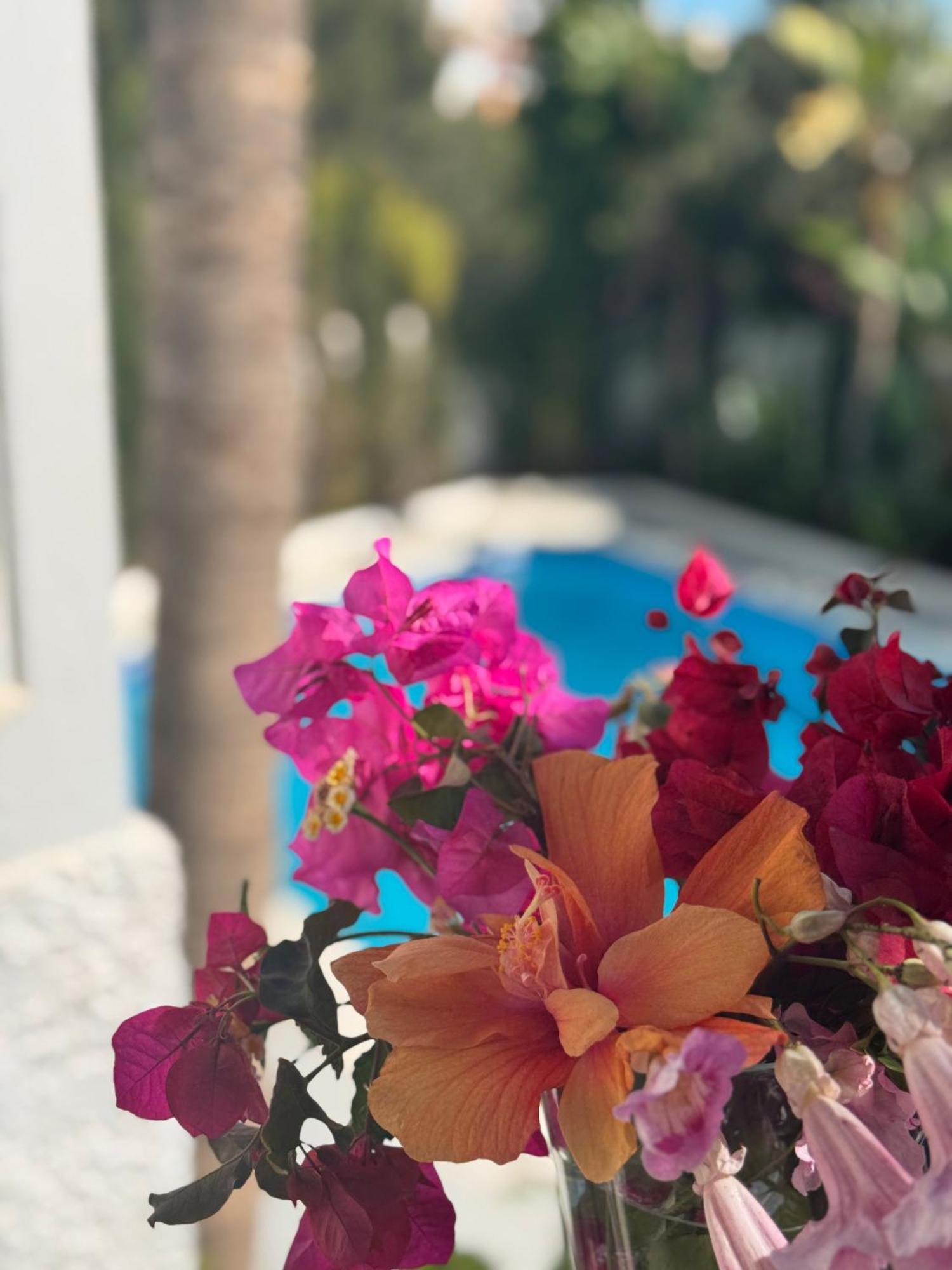Villa Nerja Dış mekan fotoğraf